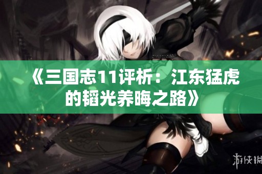 《三国志11评析：江东猛虎的韬光养晦之路》