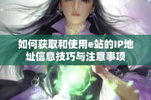 如何获取和使用e站的IP地址信息技巧与注意事项