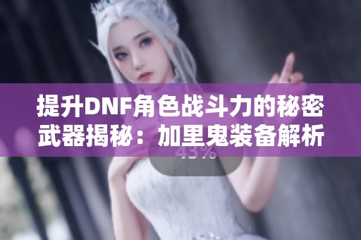 提升DNF角色战斗力的秘密武器揭秘：加里鬼装备解析