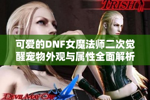 可爱的DNF女魔法师二次觉醒宠物外观与属性全面解析