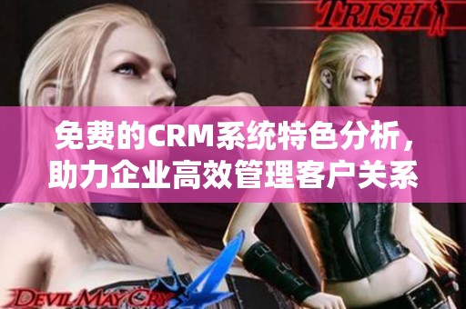 免费的CRM系统特色分析，助力企业高效管理客户关系