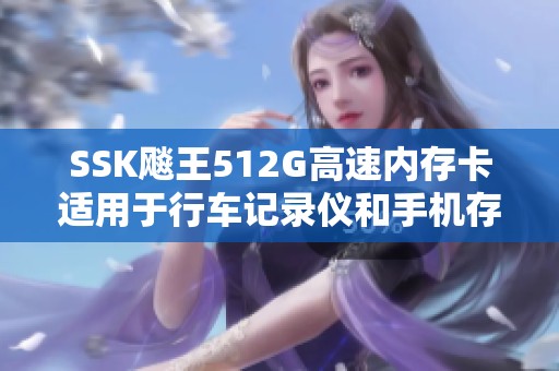 SSK飚王512G高速内存卡适用于行车记录仪和手机存储