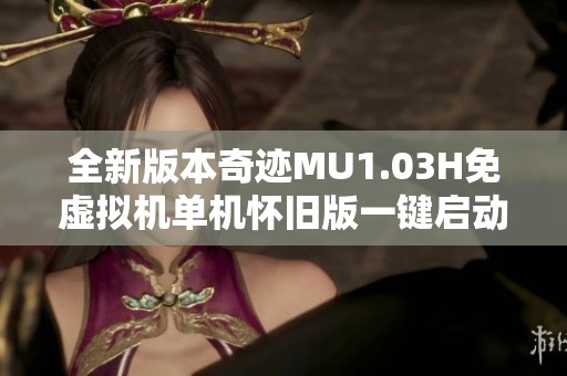 全新版本奇迹MU1.03H免虚拟机单机怀旧版一键启动F7重写体验