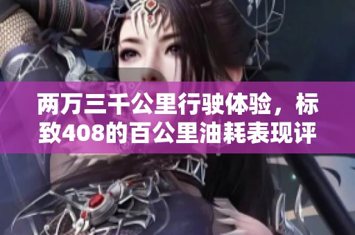 两万三千公里行驶体验，标致408的百公里油耗表现评测