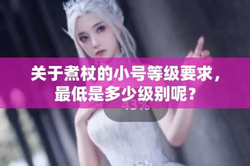 关于煮杖的小号等级要求，最低是多少级别呢？