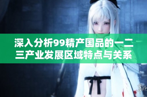 深入分析99精产国品的一二三产业发展区域特点与关系