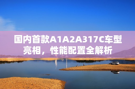 国内首款A1A2A317C车型亮相，性能配置全解析