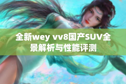 全新wey vv8国产SUV全景解析与性能评测