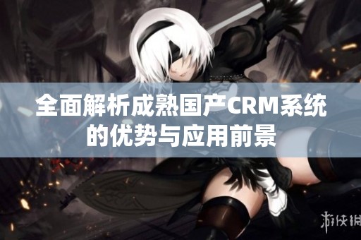 全面解析成熟国产CRM系统的优势与应用前景