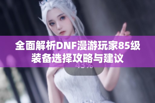 全面解析DNF漫游玩家85级装备选择攻略与建议