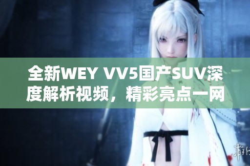 全新WEY VV5国产SUV深度解析视频，精彩亮点一网打尽