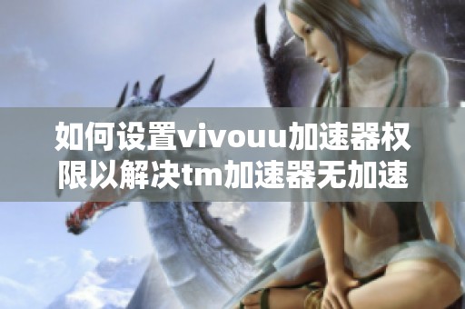 如何设置vivouu加速器权限以解决tm加速器无加速权限问题