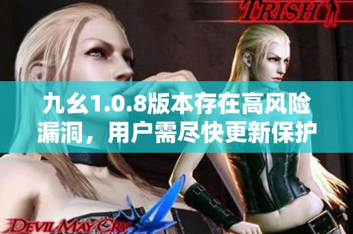 九幺1.0.8版本存在高风险漏洞，用户需尽快更新保护措施