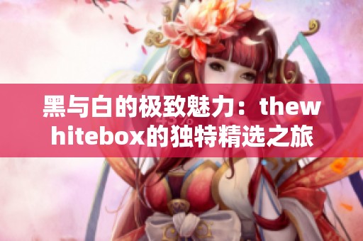 黑与白的极致魅力：thewhitebox的独特精选之旅