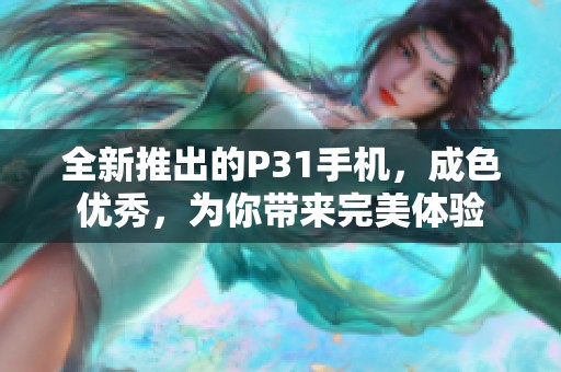 全新推出的P31手机，成色优秀，为你带来完美体验