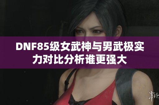 DNF85级女武神与男武极实力对比分析谁更强大