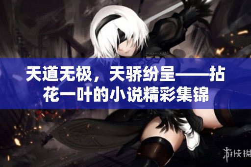 天道无极，天骄纷呈——拈花一叶的小说精彩集锦