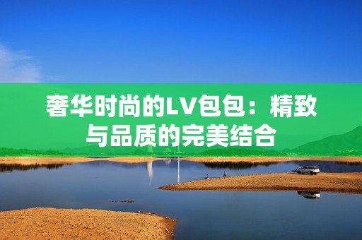 奢华时尚的LV包包：精致与品质的完美结合