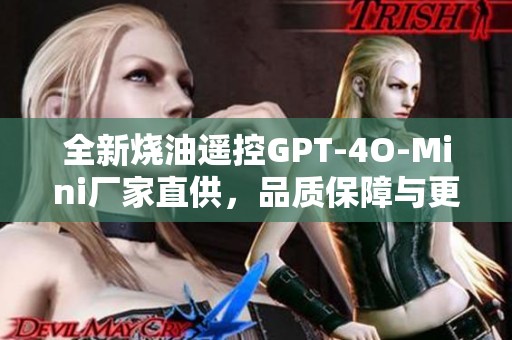 全新烧油遥控GPT-4O-Mini厂家直供，品质保障与更多选择