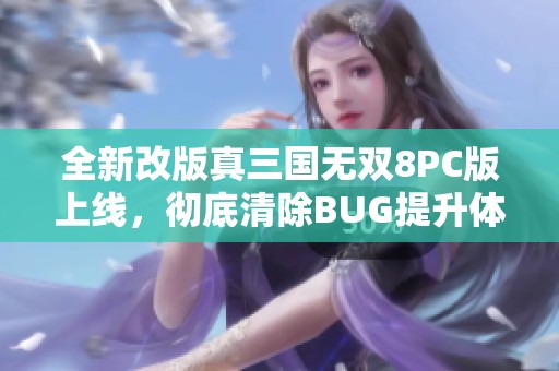 全新改版真三国无双8PC版上线，彻底清除BUG提升体验