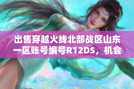 出售穿越火线北部战区山东一区账号编号R12DS，机会难得合理议价