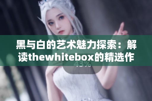 黑与白的艺术魅力探索：解读thewhitebox的精选作品