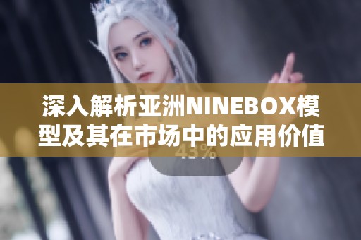 深入解析亚洲NINEBOX模型及其在市场中的应用价值