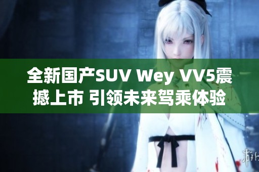 全新国产SUV Wey VV5震撼上市 引领未来驾乘体验