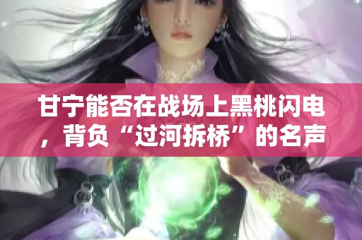 甘宁能否在战场上黑桃闪电，背负“过河拆桥”的名声？