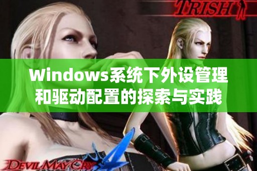 Windows系统下外设管理和驱动配置的探索与实践