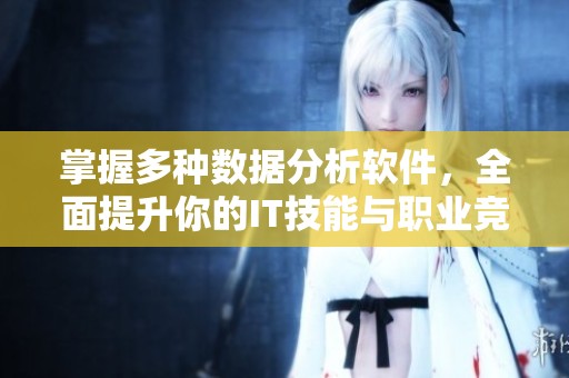 掌握多种数据分析软件，全面提升你的IT技能与职业竞争力