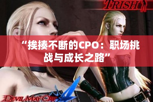 “挨揍不断的CPO：职场挑战与成长之路”