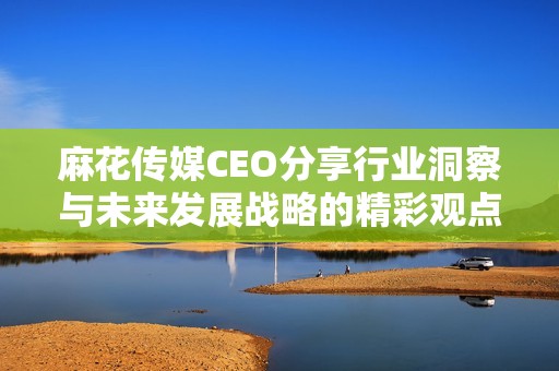 麻花传媒CEO分享行业洞察与未来发展战略的精彩观点