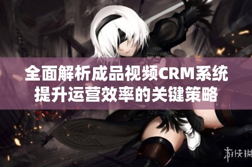 全面解析成品视频CRM系统提升运营效率的关键策略