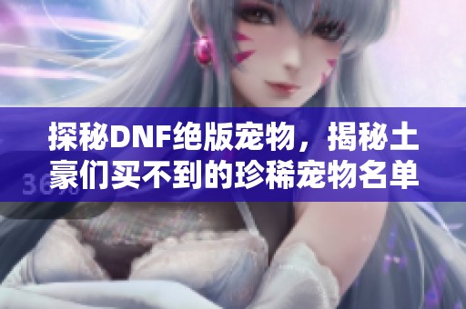 探秘DNF绝版宠物，揭秘土豪们买不到的珍稀宠物名单