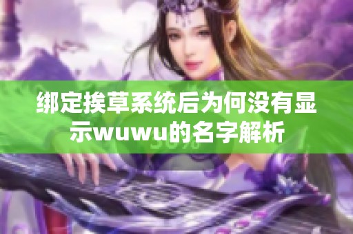 绑定挨草系统后为何没有显示wuwu的名字解析