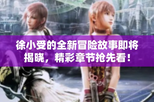 徐小受的全新冒险故事即将揭晓，精彩章节抢先看！