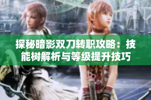 探秘暗影双刀转职攻略：技能树解析与等级提升技巧