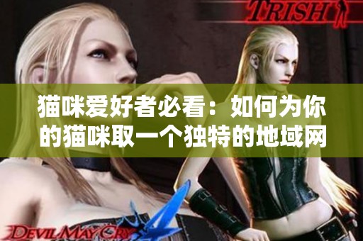 猫咪爱好者必看：如何为你的猫咪取一个独特的地域网名