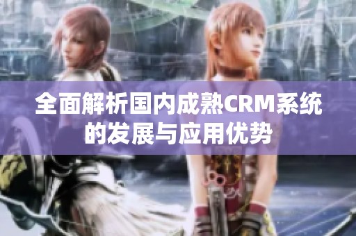 全面解析国内成熟CRM系统的发展与应用优势