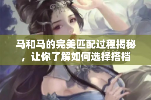马和马的完美匹配过程揭秘，让你了解如何选择搭档