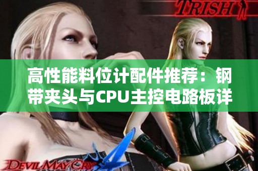 高性能料位计配件推荐：钢带夹头与CPU主控电路板详细解析