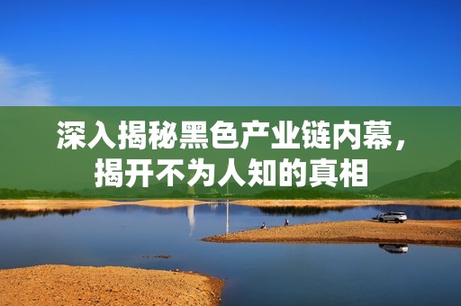 深入揭秘黑色产业链内幕，揭开不为人知的真相