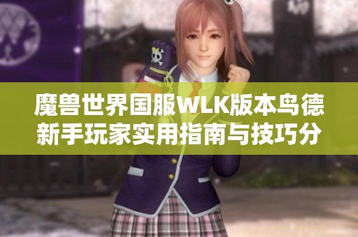 魔兽世界国服WLK版本鸟德新手玩家实用指南与技巧分享