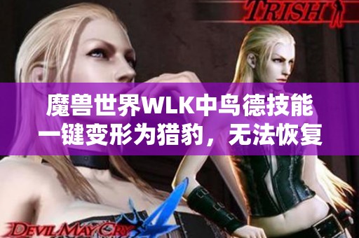 魔兽世界WLK中鸟德技能一键变形为猎豹，无法恢复原形