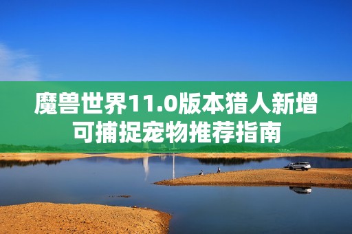 魔兽世界11.0版本猎人新增可捕捉宠物推荐指南