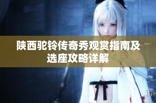 陕西驼铃传奇秀观赏指南及选座攻略详解