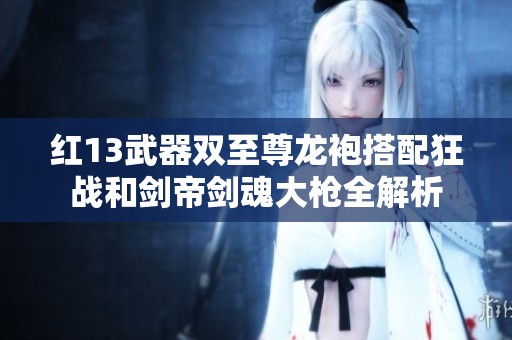 红13武器双至尊龙袍搭配狂战和剑帝剑魂大枪全解析