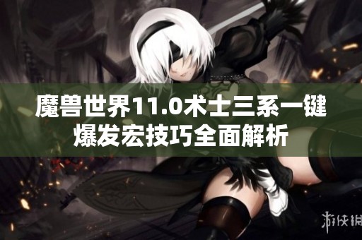 魔兽世界11.0术士三系一键爆发宏技巧全面解析