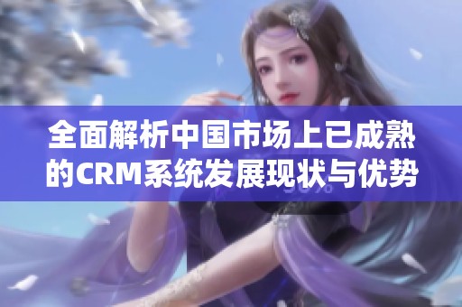 全面解析中国市场上已成熟的CRM系统发展现状与优势